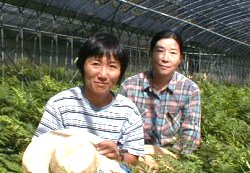 �p�[�g����